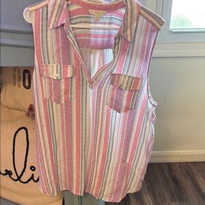 Chaps Pink and Blue Button Down Shirt with Notched Collar